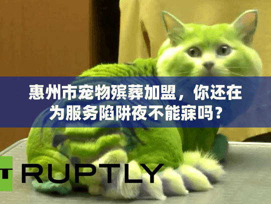 惠州市宠物殡葬加盟，你还在为服务陷阱夜不能寐吗？
