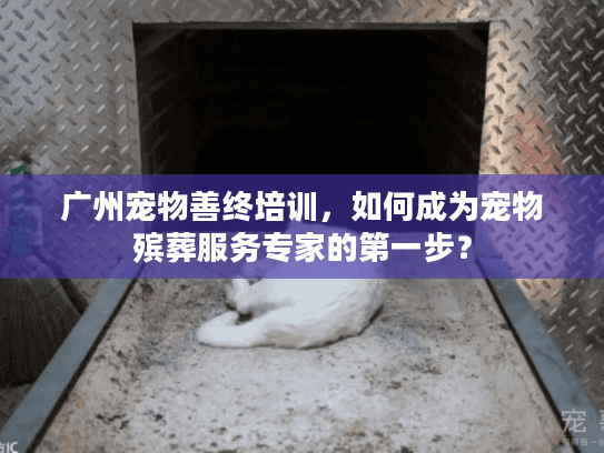 广州宠物善终培训，如何成为宠物殡葬服务专家的第一步？