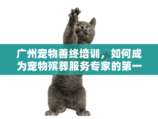 广州宠物善终培训，如何成为宠物殡葬服务专家的第一步？