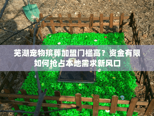 芜湖宠物殡葬加盟门槛高？资金有限如何抢占本地需求新风口