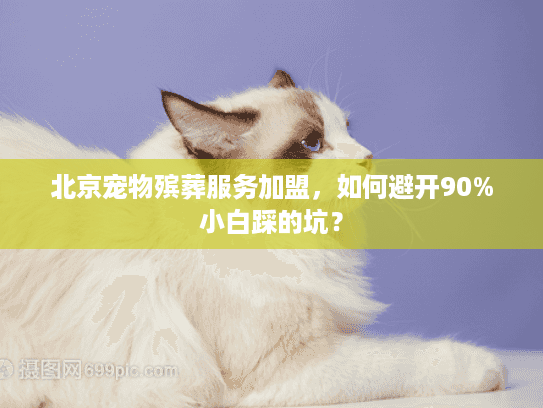 北京宠物殡葬服务加盟，如何避开90%小白踩的坑？