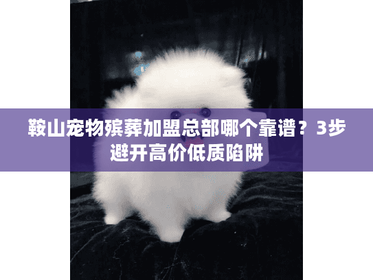 鞍山宠物殡葬加盟总部哪个靠谱？3步避开高价低质陷阱