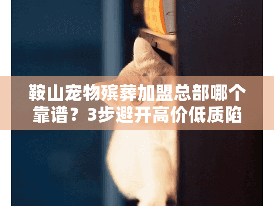 鞍山宠物殡葬加盟总部哪个靠谱？3步避开高价低质陷阱