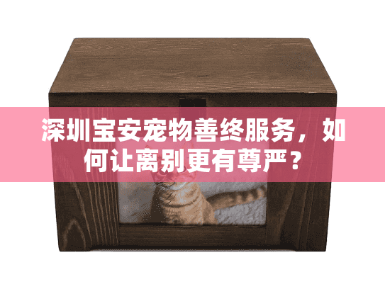 深圳宝安宠物善终服务，如何让离别更有尊严？