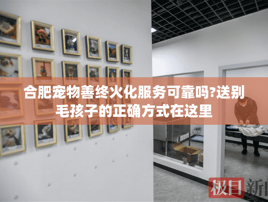 合肥宠物善终火化服务可靠吗?送别毛孩子的正确方式在这里