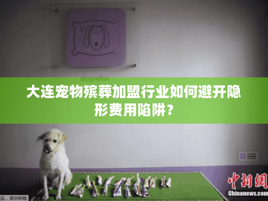 大连宠物殡葬加盟行业如何避开隐形费用陷阱？