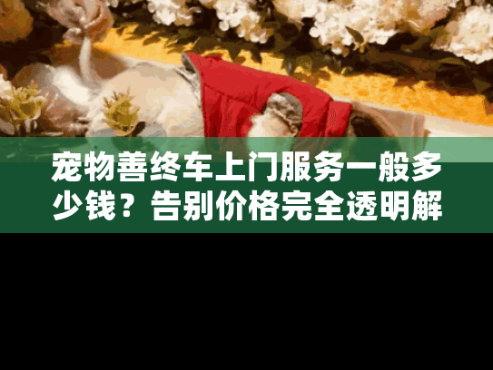 宠物善终车上门服务一般多少钱？告别价格完全透明解析