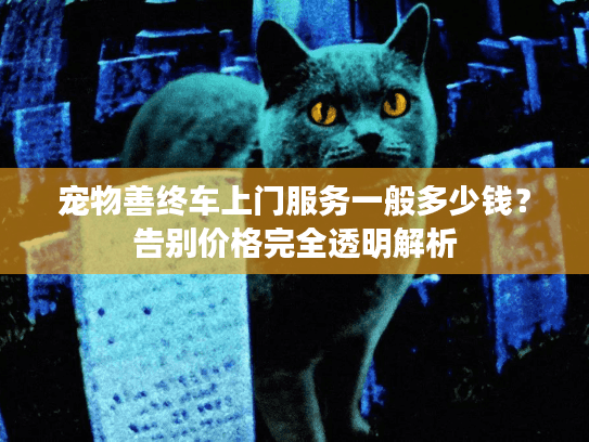 宠物善终车上门服务一般多少钱？告别价格完全透明解析