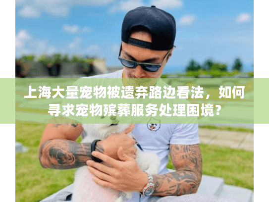 上海大量宠物被遗弃路边看法，如何寻求宠物殡葬服务处理困境？