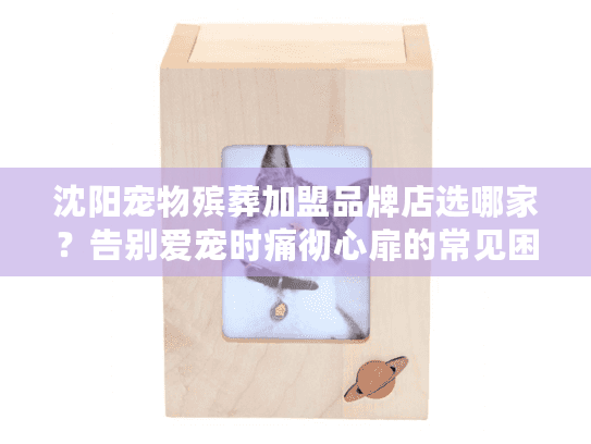 沈阳宠物殡葬加盟品牌店选哪家？告别爱宠时痛彻心扉的常见困扰如何破局