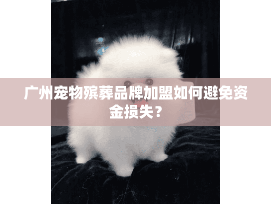 广州宠物殡葬品牌加盟如何避免资金损失？