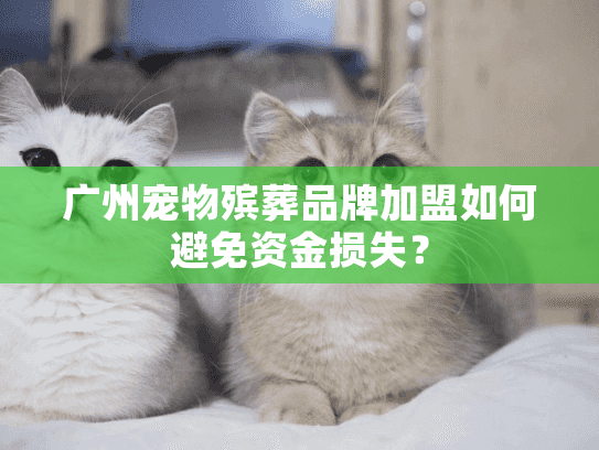 广州宠物殡葬品牌加盟如何避免资金损失？