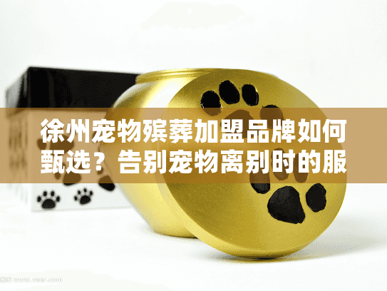 徐州宠物殡葬加盟品牌如何甄选？告别宠物离别时的服务焦虑陷阱