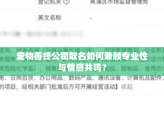 宠物善终公司取名如何兼顾专业性与情感共鸣？