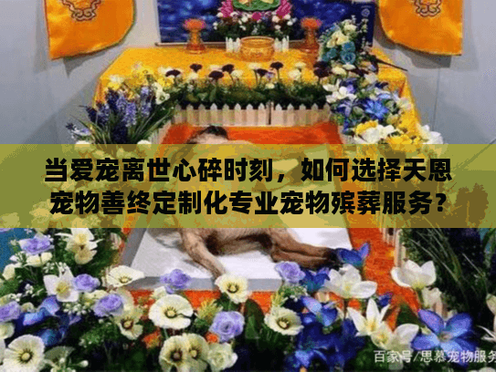 当爱宠离世心碎时刻，如何选择天恩宠物善终定制化专业宠物殡葬服务？