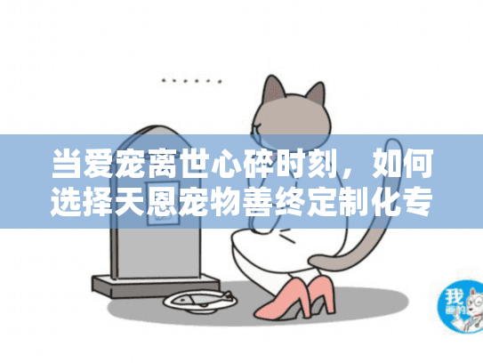 当爱宠离世心碎时刻，如何选择天恩宠物善终定制化专业宠物殡葬服务？