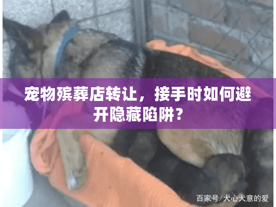 宠物殡葬店转让,接手时如何避开隐藏陷阱? 宠物殡葬店转让,接手时如何避开隐藏陷阱?