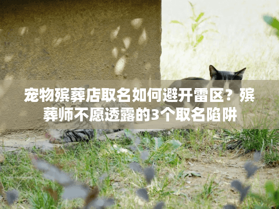 宠物殡葬店取名如何避开雷区？殡葬师不愿透露的3个取名陷阱