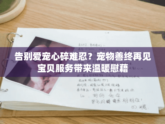 告别爱宠心碎难忍？宠物善终再见宝贝服务带来温暖慰藉