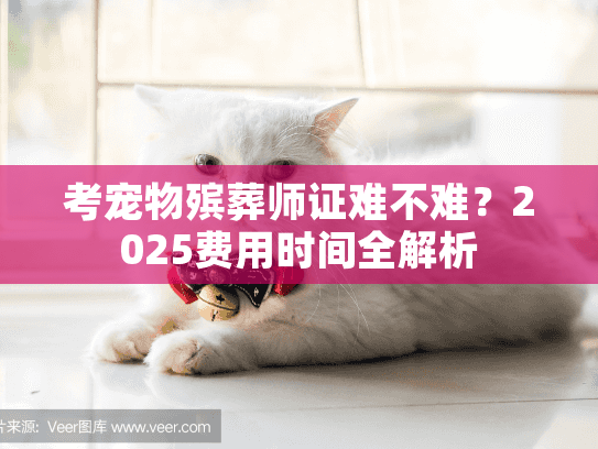 考宠物殡葬师证难不难？2025费用时间全解析