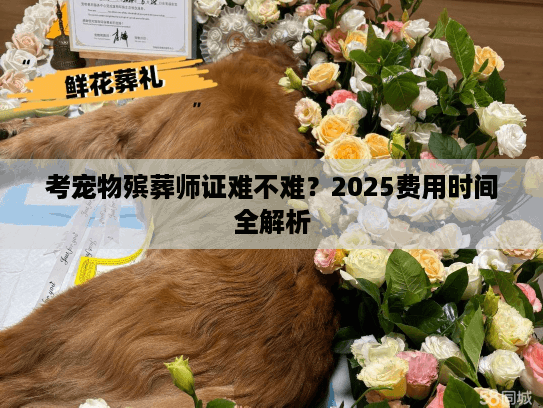 考宠物殡葬师证难不难？2025费用时间全解析