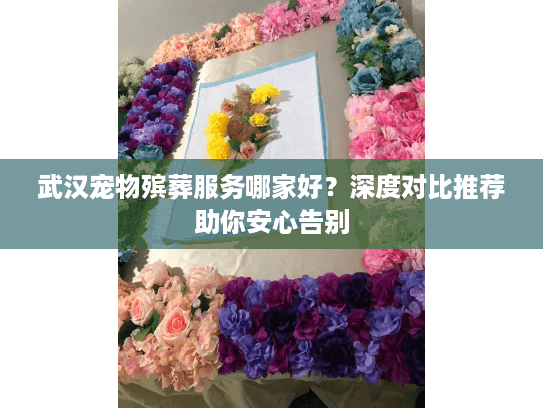 武汉宠物殡葬服务哪家好？深度对比推荐助你安心告别