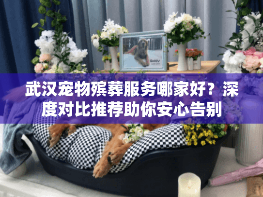 武汉宠物殡葬服务哪家好？深度对比推荐助你安心告别