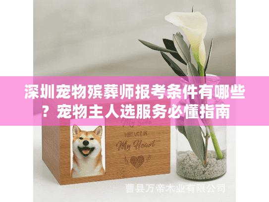 深圳宠物殡葬师报考条件有哪些？宠物主人选服务必懂指南