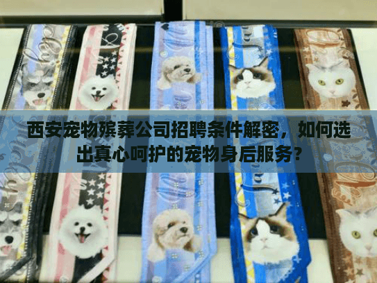 西安宠物殡葬公司招聘条件解密,如何选出真心呵护的宠物身后服务? 西安宠物殡葬公司招聘条件解密,如何选出真心呵护的宠物身后服务?