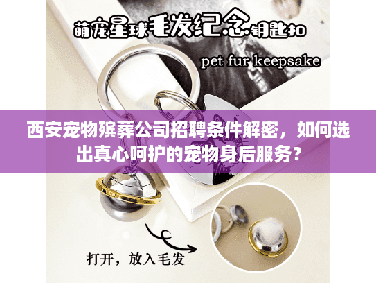 西安宠物殡葬公司招聘条件解密,如何选出真心呵护的宠物身后服务? 西安宠物殡葬公司招聘条件解密,如何选出真心呵护的宠物身后服务?