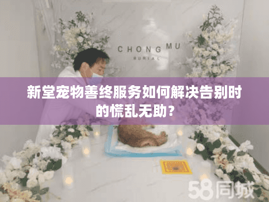 新堂宠物善终服务如何解决告别时的慌乱无助？