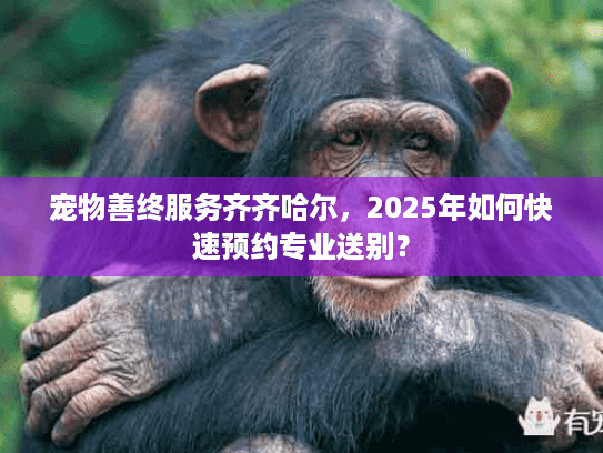宠物善终服务齐齐哈尔，2025年如何快速预约专业送别？