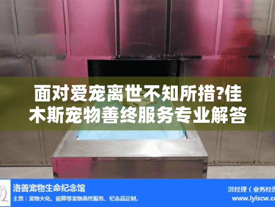 面对爱宠离世不知所措?佳木斯宠物善终服务专业解答