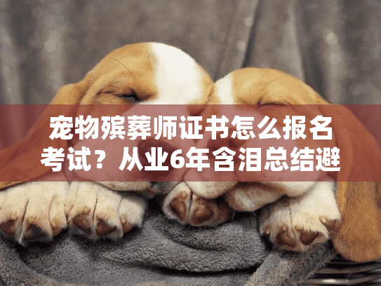 宠物殡葬师证书怎么报名考试？从业6年含泪总结避坑要点