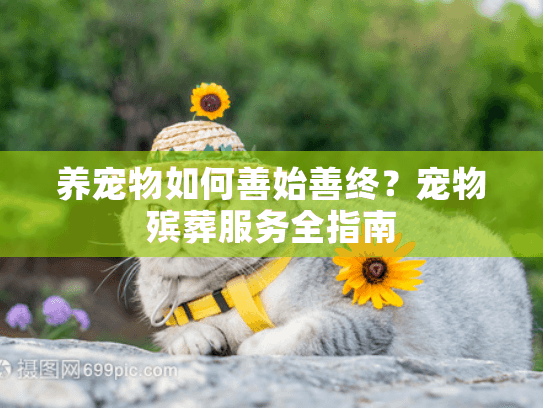 养宠物如何善始善终？宠物殡葬服务全指南