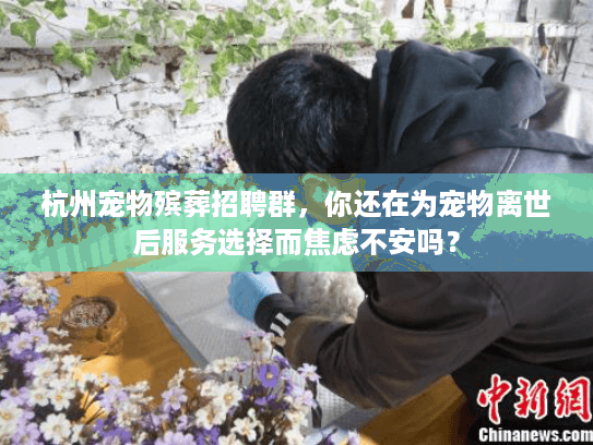 杭州宠物殡葬招聘群，你还在为宠物离世后服务选择而焦虑不安吗？