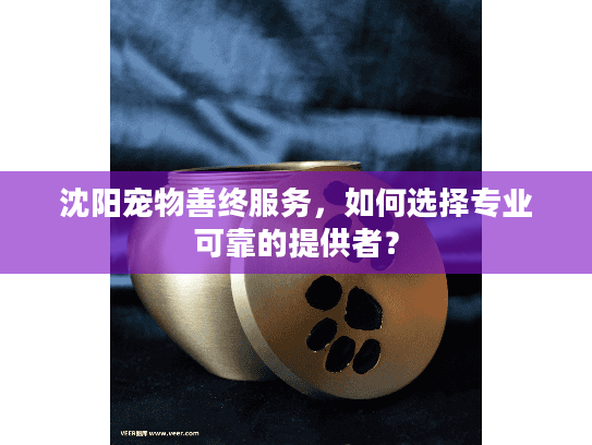 沈阳宠物善终服务，如何选择专业可靠的提供者？