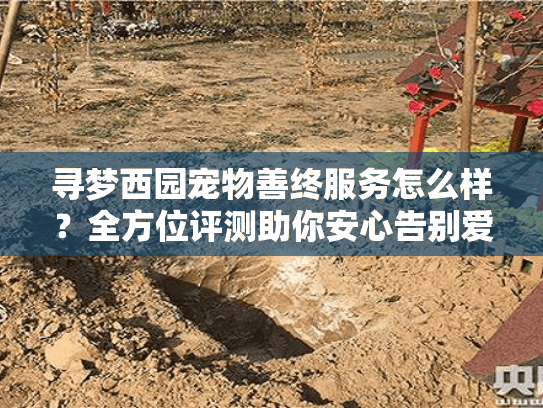 寻梦西园宠物善终服务怎么样？全方位评测助你安心告别爱宠