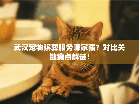 武汉宠物殡葬服务哪家强？对比关键痛点解谜！