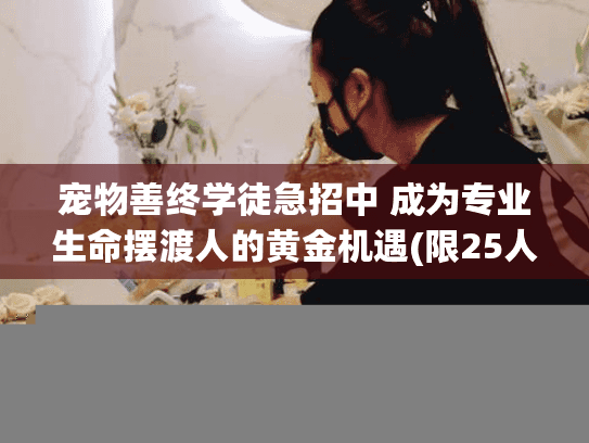 宠物善终学徒急招中 成为专业生命摆渡人的黄金机遇(限25人)