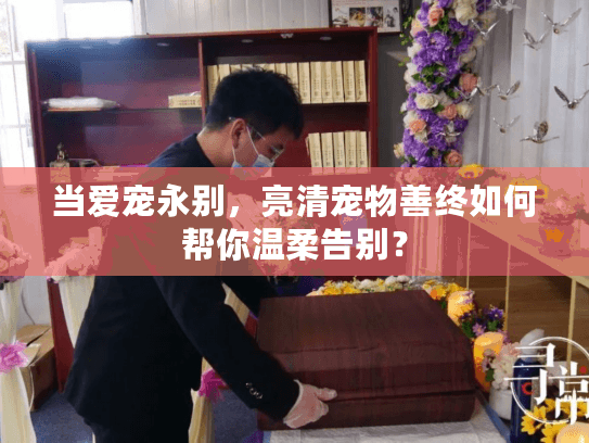 当爱宠永别，亮清宠物善终如何帮你温柔告别？