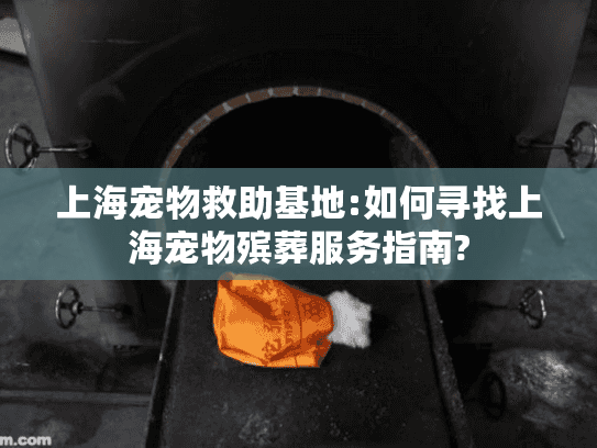 上海宠物救助基地:如何寻找上海宠物殡葬服务指南?