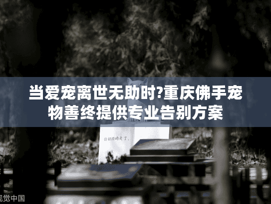 当爱宠离世无助时?重庆佛手宠物善终提供专业告别方案