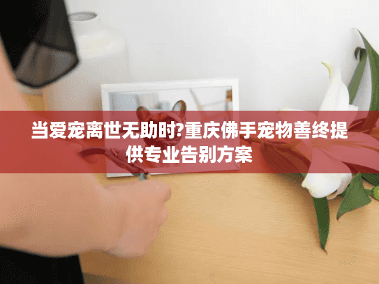当爱宠离世无助时?重庆佛手宠物善终提供专业告别方案