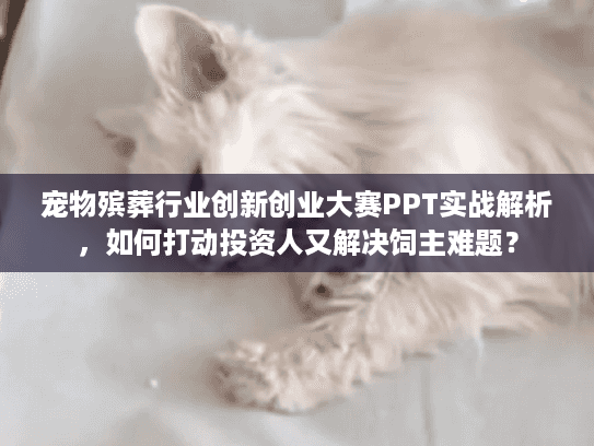 宠物殡葬行业创新创业大赛PPT实战解析，如何打动投资人又解决饲主难题？