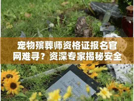 宠物殡葬师资格证报名官网难寻？资深专家揭秘安全选择全流程