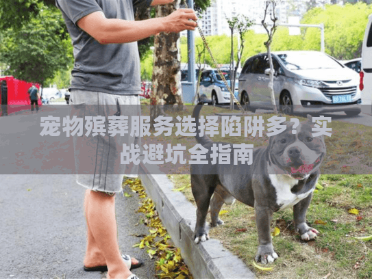 宠物殡葬服务选择陷阱多？实战避坑全指南