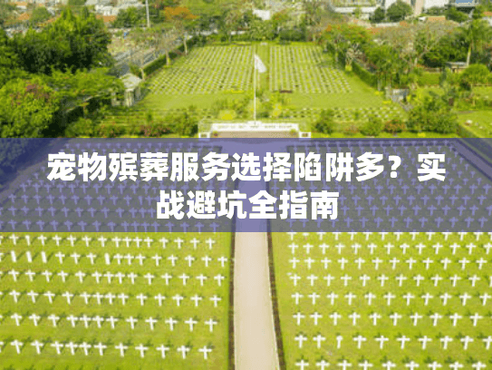 宠物殡葬服务选择陷阱多？实战避坑全指南