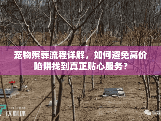 宠物殡葬流程详解,如何避免高价陷阱找到真正贴心服务? 宠物殡葬流程详解,如何避免高价陷阱找到真正贴心服务?