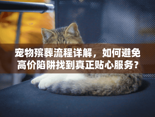 宠物殡葬流程详解,如何避免高价陷阱找到真正贴心服务? 宠物殡葬流程详解,如何避免高价陷阱找到真正贴心服务?